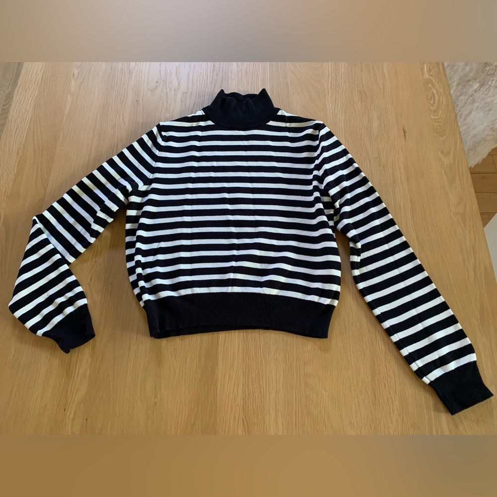 Zara Black + White Striped Sweater